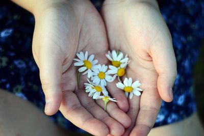 Close-up of hand holding flower