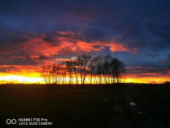 Silhouette trees on field against sky during sunset