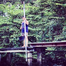 Plants growing on tree trunk