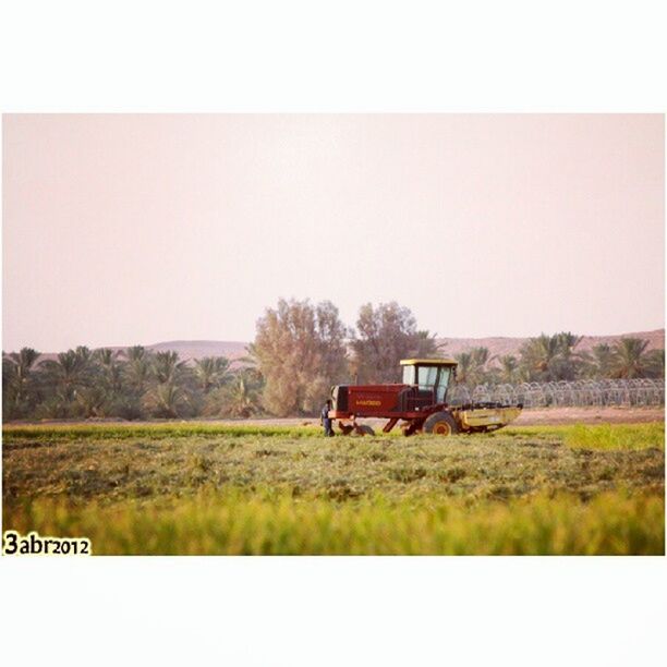 transfer print, field, landscape, auto post production filter, rural scene, grass, agriculture, clear sky, copy space, tranquil scene, tree, tranquility, farm, grassy, house, nature, built structure, growth, sky, plant