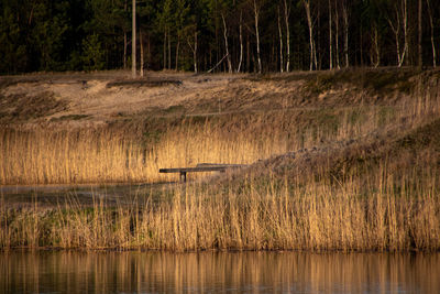 Scenic view of lake