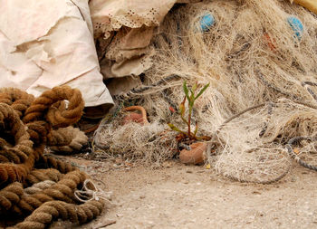 Close-up of fishing net