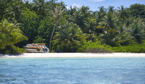 Boat in sea