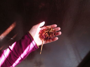 Close-up of hand holding ice cream