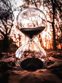 Close-up of clock against trees