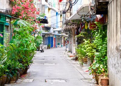 Narrow alley amidst buildings in city