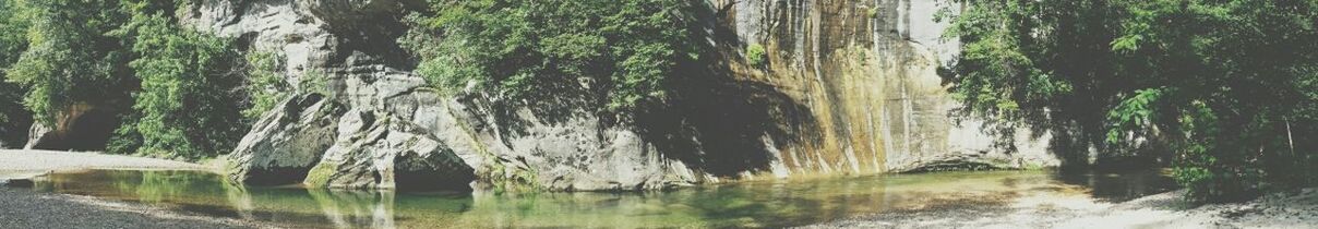 Reflection of trees in water