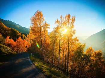 Trees by road against sky during autumn
