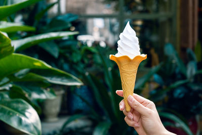 Close-up of hand holding ice cream by plants