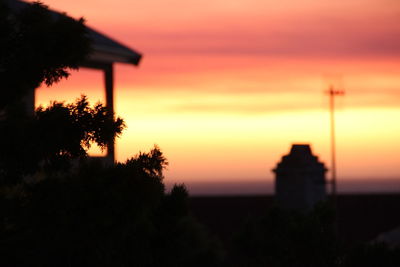 Silhouette trees at sunset