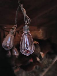 Close-up of illuminated light bulb