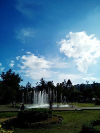 Trees in park against sky