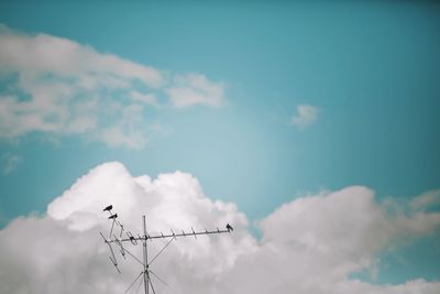 Low angle view of telephone pole against blue sky