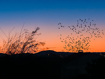 Silhouette birds on landscape against sky during sunset