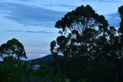 Low angle view of trees against cloudy sky