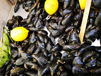 Mussels with lemon in open seamarket, napoli