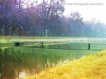 Scenic view of lake against trees
