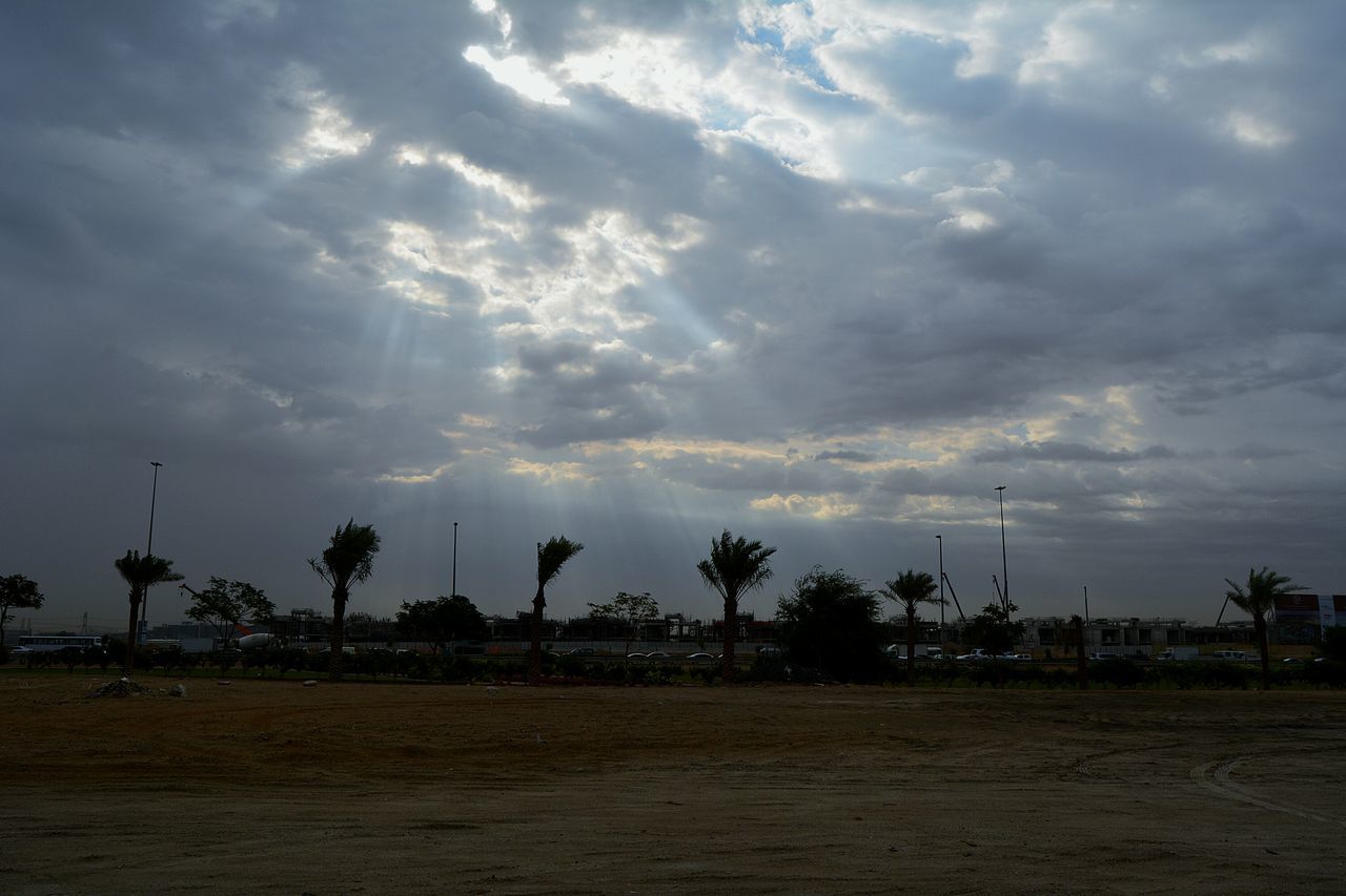 sky, cloud - sky, tree, cloudy, palm tree, silhouette, tranquility, tranquil scene, sunset, cloud, scenics, nature, beauty in nature, landscape, weather, overcast, dusk, field, growth, built structure