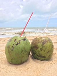 Coconut water on shore at beach