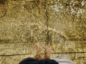 Low section of man standing by swimming pool