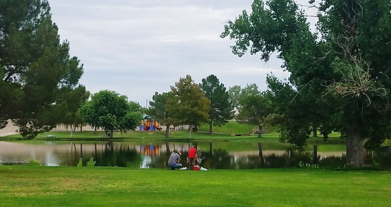 PEOPLE ON FIELD AGAINST TREES AT PARK