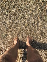 Low section of woman standing on beach