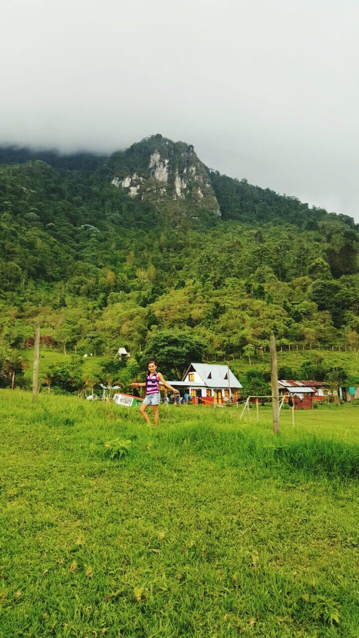 mountain, grass, green color, tree, landscape, tranquil scene, tranquility, scenics, beauty in nature, nature, mountain range, sky, growth, house, hill, green, building exterior, built structure, non-urban scene, idyllic