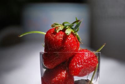 Close-up of strawberries