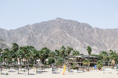 Palm trees on mountain range against sky