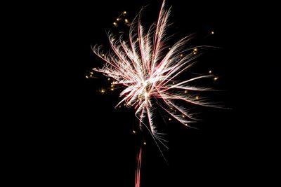 Low angle view of firework display against sky at night