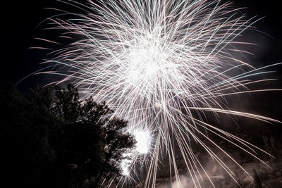 Low angle view of firework display at night