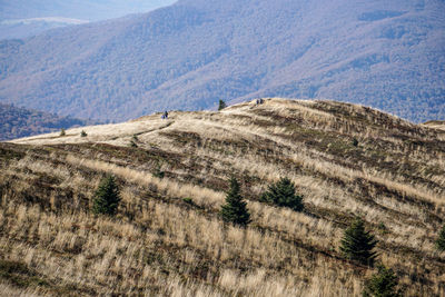 Scenic view of field against mountains