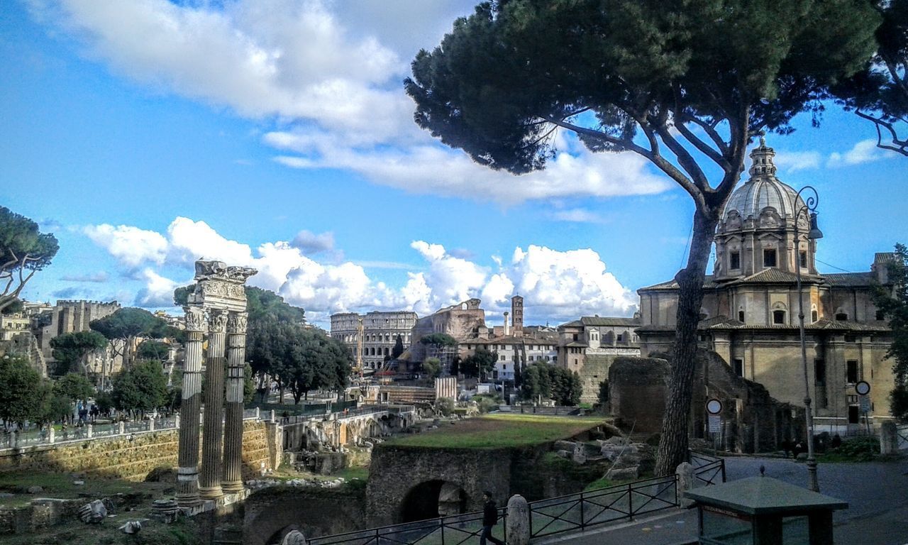 VIEW OF CITYSCAPE WITH TREES IN BACKGROUND