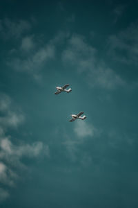 Low angle view of airplane flying against sky