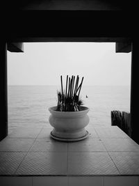 Feathers in container on floor against sea