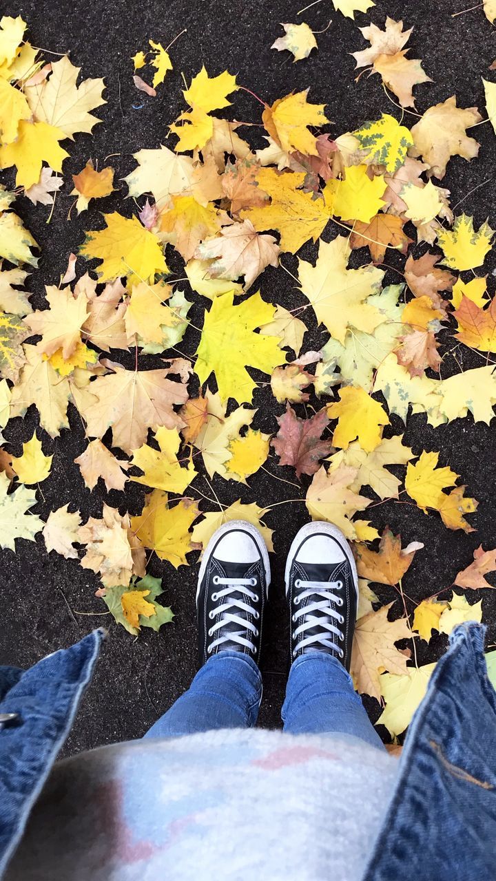 LOW SECTION OF PERSON STANDING ON YELLOW MAPLE LEAVES