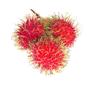 Close-up of red berries against white background