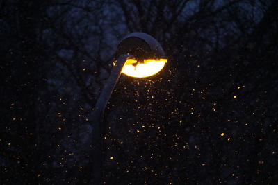 Low angle view of illuminated light bulb against dark sky