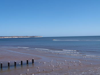 Scenic view of sea against clear sky