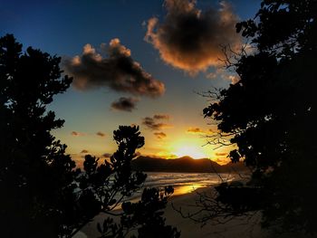 Silhouette trees against sky during sunset