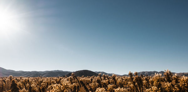 Scenic view of mountains against clear sky