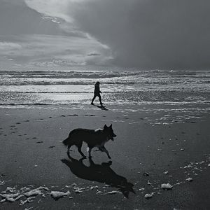 Man with dog on beach against sky