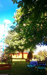 View of trees and chairs