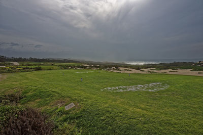 Scenic view of grassy field against sky