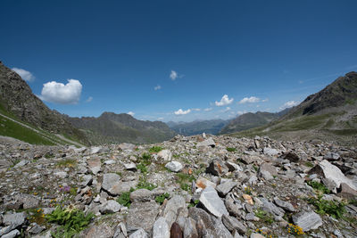 Scenic view of landscape against blue sky