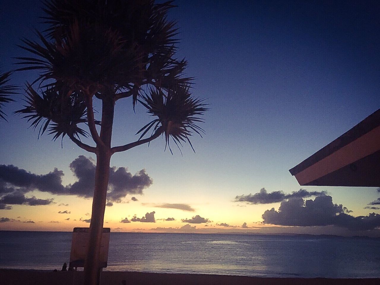 SILHOUETTE PALM TREES BY CALM SEA AGAINST SKY DURING SUNSET