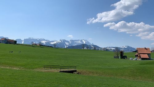 Scenic view of field against sky