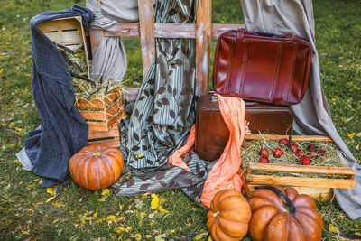 High angle view of pumpkins on field