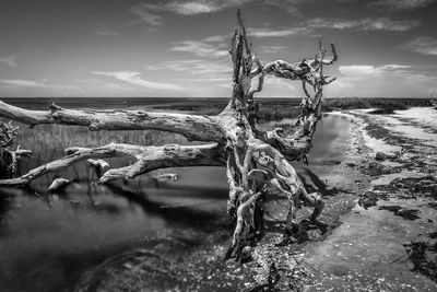 Scenic view of frozen sea against sky
