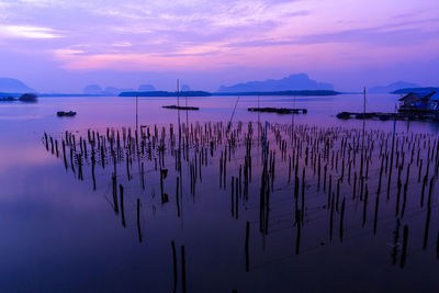 Rustic shrimp farm at sunset in thailand